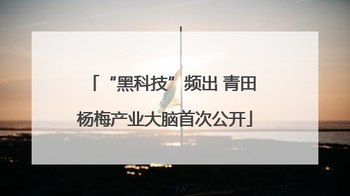 “黑科技”频出 青田杨梅产业大脑首次公开
