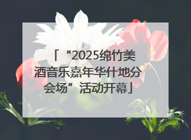“2025绵竹美酒音乐嘉年华什地分会场”活动开幕