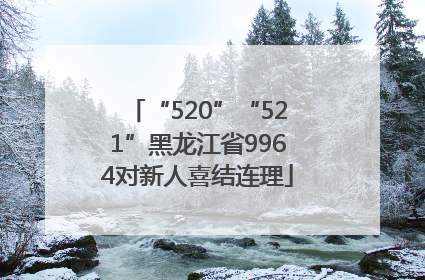 “520”“521”黑龙江省9964对新人喜结连理