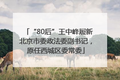 “80后”王中峰履新北京市委政法委副书记，原任西城区委常委