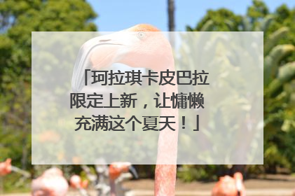 珂拉琪卡皮巴拉限定上新，让慵懒充满这个夏天！