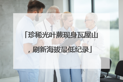珍稀光叶蕨现身瓦屋山，刷新海拔最低纪录
