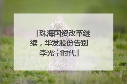 珠海国资改革继续，华发股份告别李光宁时代