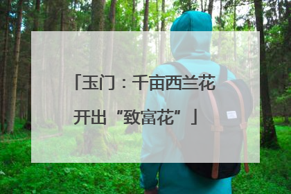 玉门：千亩西兰花开出“致富花”