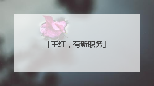 王红，有新职务