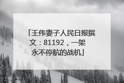 王伟妻子人民日报撰文：81192，一架永不停航的战机