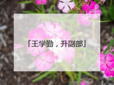 王学勤，升副部