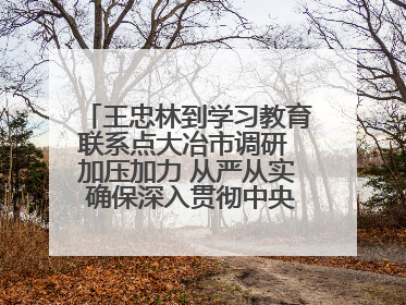 王忠林到学习教育联系点大冶市调研 加压加力 从严从实 确保深入贯彻中央八项规定精神学习教育取得实效