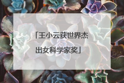 王小云获世界杰出女科学家奖