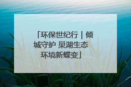 环保世纪行｜倾城守护 巢湖生态环境新蝶变