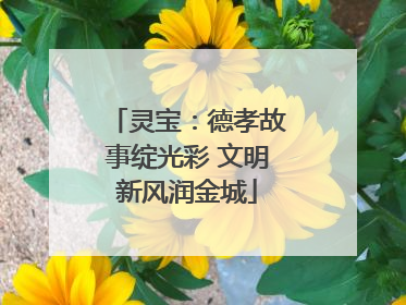 灵宝：德孝故事绽光彩 文明新风润金城