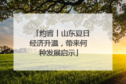 灼言丨山东夏日经济升温，带来何种发展启示