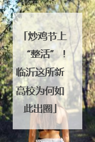 炒鸡节上“整活”！临沂这所新高校为何如此出圈