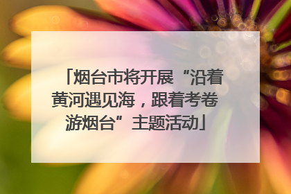 烟台市将开展“沿着黄河遇见海，跟着考卷游烟台”主题活动