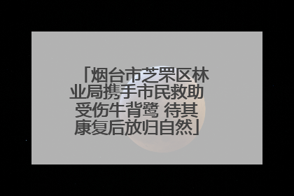 烟台市芝罘区林业局携手市民救助受伤牛背鹭 待其康复后放归自然