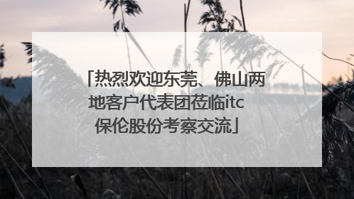 热烈欢迎东莞、佛山两地客户代表团莅临itc保伦股份考察交流