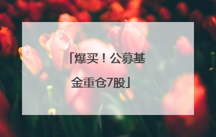 爆买！公募基金重仓7股