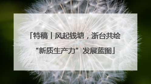 特稿丨风起钱塘，浙台共绘“新质生产力”发展蓝图
