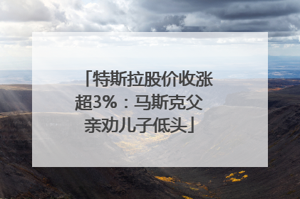 特斯拉股价收涨超3%：马斯克父亲劝儿子低头