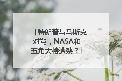 特朗普与马斯克对骂，NASA和五角大楼遭殃？