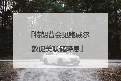 特朗普会见鲍威尔 敦促美联储降息
