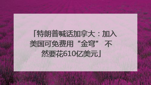 特朗普喊话加拿大：加入美国可免费用“金穹” 不然要花610亿美元