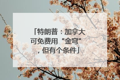 特朗普：加拿大可免费用“金穹”，但有个条件
