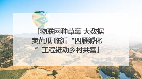 物联网种草莓 大数据卖黄瓜 临沂“四雁孵化”工程链动乡村共富