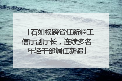 石如根跨省任新疆工信厅副厅长，连续多名年轻干部调任新疆