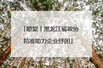 瞭望丨黑龙江省政协精准助力企业纾困