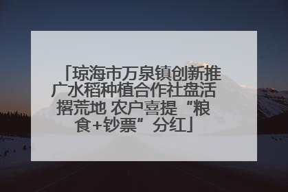 琼海市万泉镇创新推广水稻种植合作社盘活撂荒地 农户喜提“粮食+钞票”分红