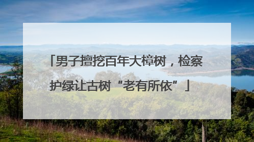 男子擅挖百年大樟树，检察护绿让古树“老有所依”