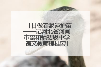 甘做春泥谨护苗——记河北省河间市景和镇初级中学语文教师程桂霞