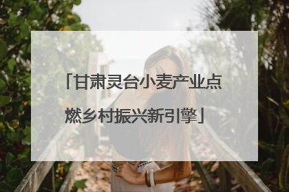 甘肃灵台小麦产业点燃乡村振兴新引擎