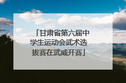 甘肃省第六届中学生运动会武术选拔赛在武威开赛