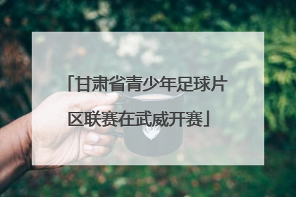 甘肃省青少年足球片区联赛在武威开赛
