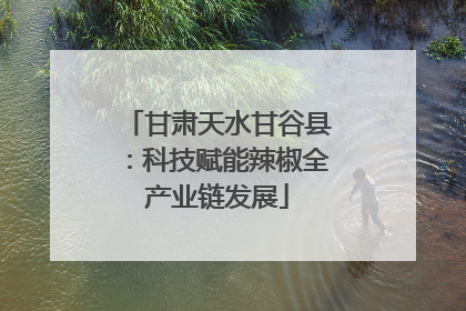 甘肃天水甘谷县：科技赋能辣椒全产业链发展