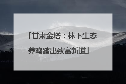 甘肃金塔：林下生态养鸡踏出致富新道