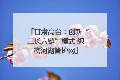 甘肃高台：创新“三长六链”模式 织密河湖管护网