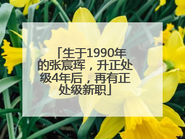 生于1990年的张宸珲，升正处级4年后，再有正处级新职
