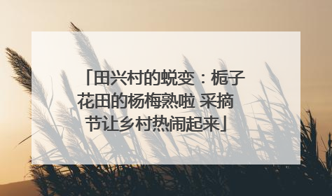 田兴村的蜕变：栀子花田的杨梅熟啦 采摘节让乡村热闹起来