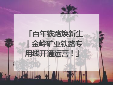 百年铁路焕新生｜金岭矿业铁路专用线开通运营！