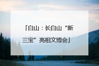 白山：长白山“新三宝”亮相文博会