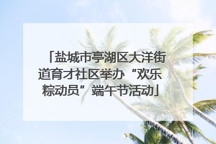 盐城市亭湖区大洋街道育才社区举办“欢乐粽动员”端午节活动