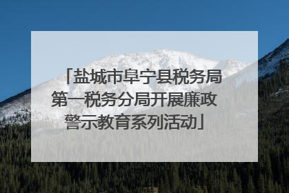 盐城市阜宁县税务局第一税务分局开展廉政警示教育系列活动