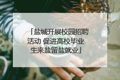 盐城开展校园招聘活动 促进高校毕业生来盐留盐就业