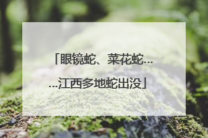 眼镜蛇、菜花蛇……江西多地蛇出没