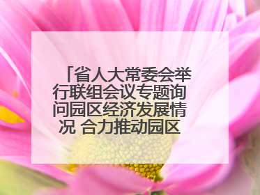 省人大常委会举行联组会议专题询问园区经济发展情况 合力推动园区经济高质量发展 王宁主持会议并讲话 王予波带队到会应询