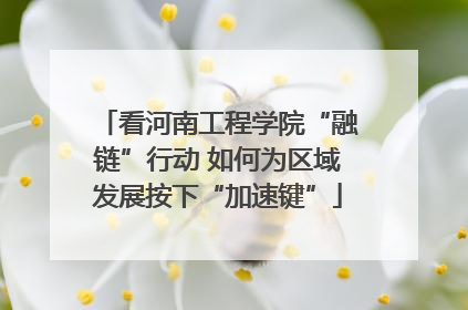 看河南工程学院“融链”行动 如何为区域发展按下“加速键”