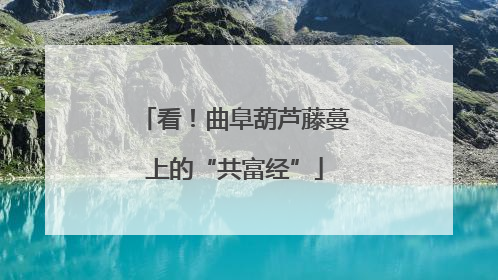 看！曲阜葫芦藤蔓上的“共富经”